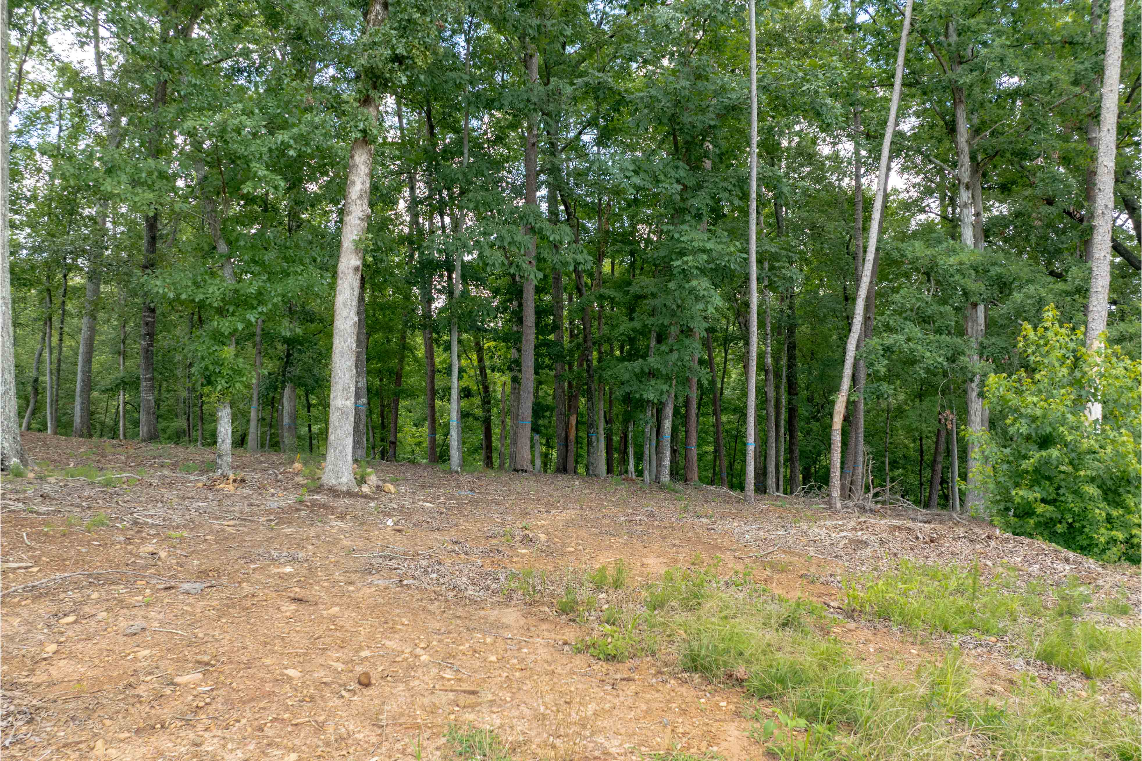 1100 High Bluff Lane image 6